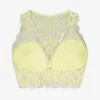Bustier - Wattierte Cups