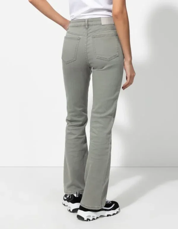Jeans - Bootcut Fit - dunkelgrün