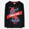 Langarmshirt - Spiderman - schwarz