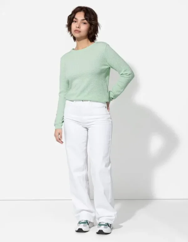 Pullover - Baumwolle - grün