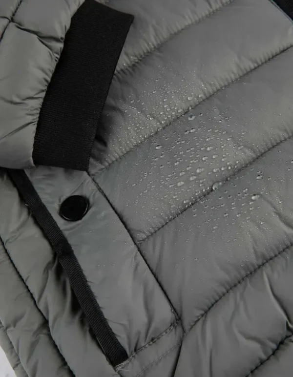 Steppjacke - Wasserabweisend - dunkelgrün