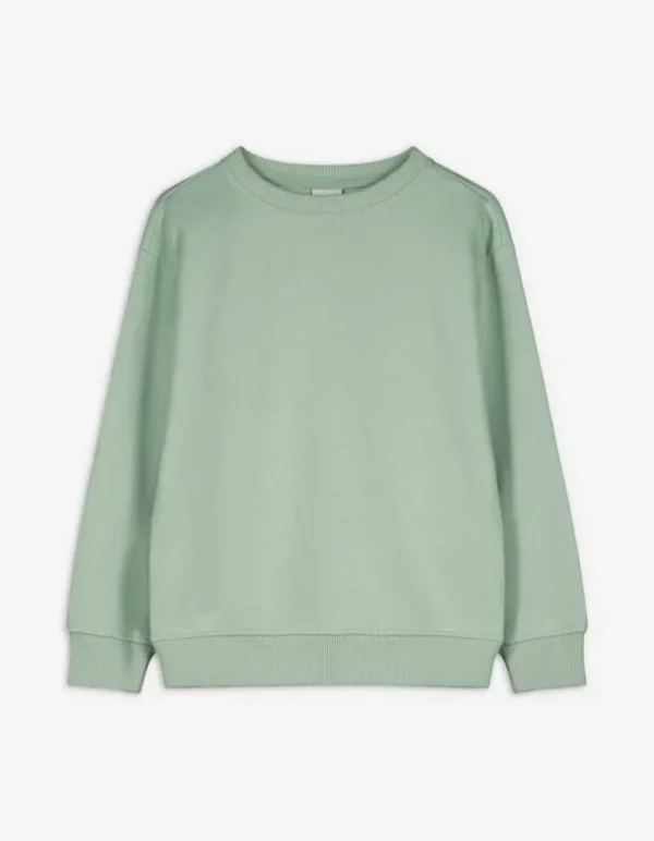 Sweatshirt - einfarbig - grün