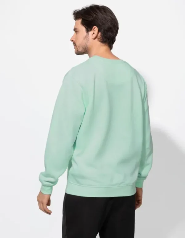Sweatshirt - Regular Fit - türkis