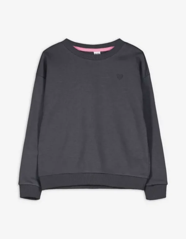 Sweatshirt - Stickereien - dunkelgrau