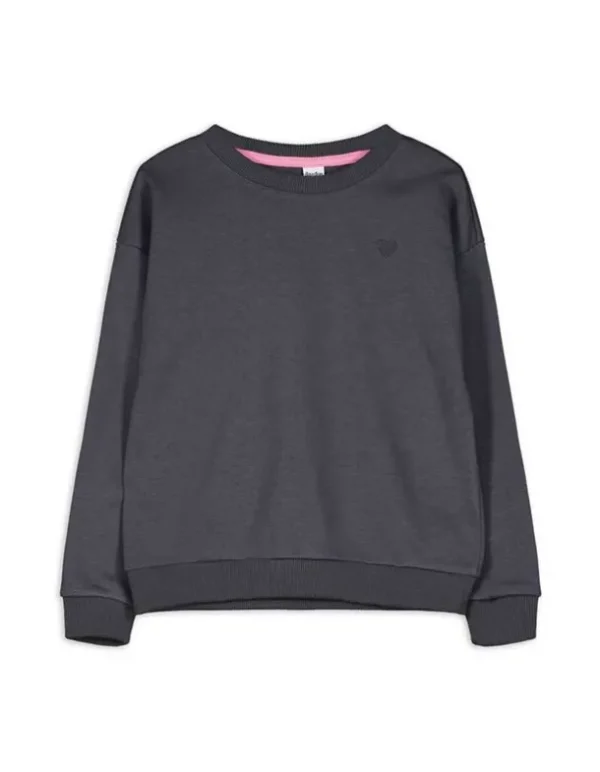 Sweatshirt - Stickereien - dunkelgrau