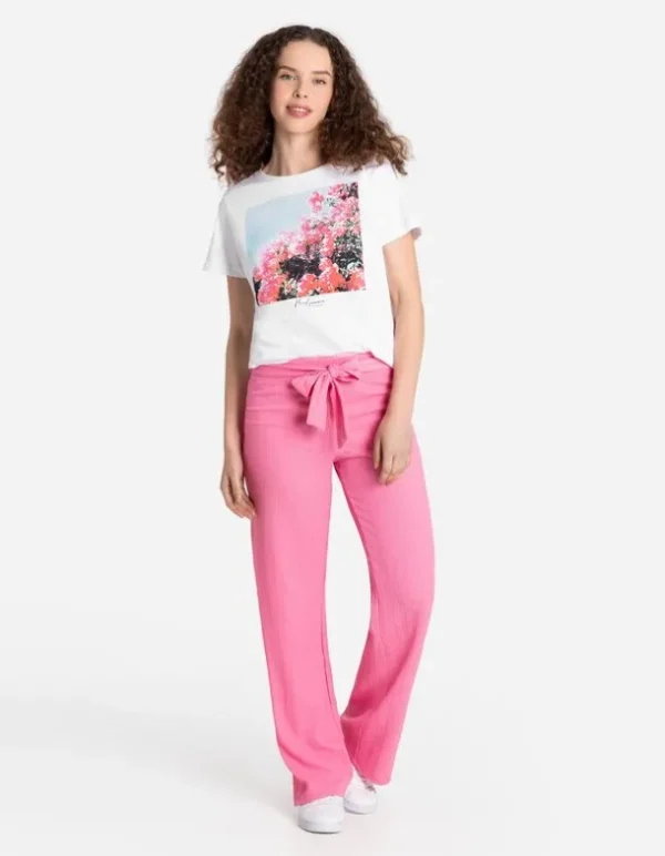 T-Shirt - Frontprint
